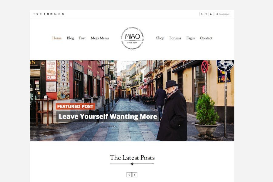 Miao - Clean Blog & Shop WordPress Theme 1 Miao - Clean Blog & Shop WordPress Theme