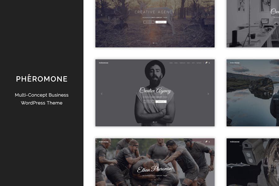 Pheromone - Creative Multi-Concept WordPress Theme 1 Pheromone - Creative Multi-Concept WordPress Theme