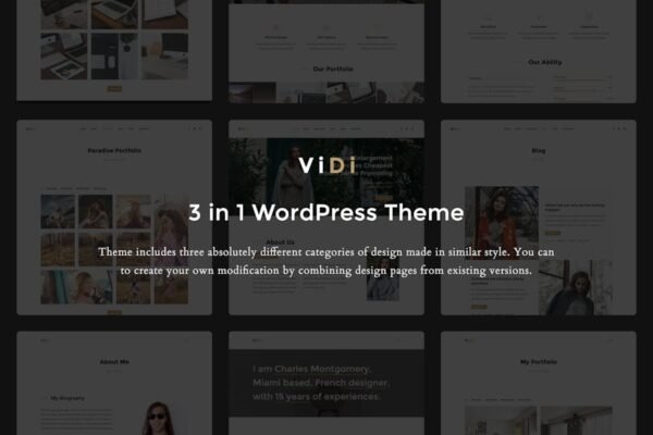 ViDi - 3 in 1 Creative WordPress Theme