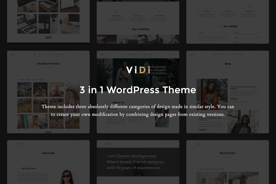 ViDi - 3 in 1 Creative WordPress Theme 1 ViDi - 3 in 1 Creative WordPress Theme