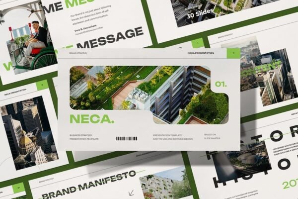 Neca Business Strategy - Keynote