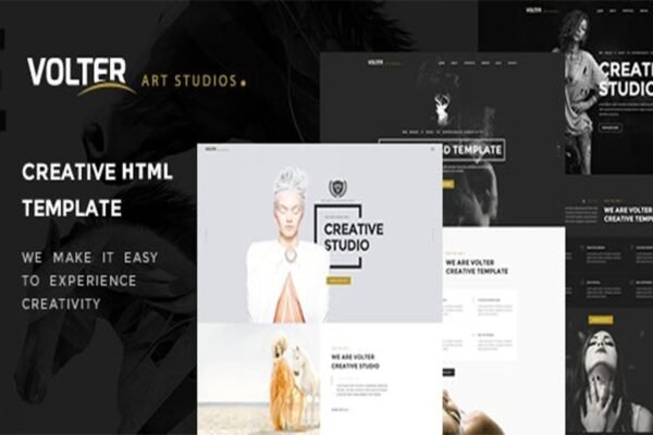 Volter - Creative Multipurpose Template